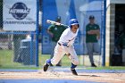 Baseball vs Babson  Wheaton College Baseball vs Babson during Semi final game of the NEWMAC Championship hosted by Wheaton. - (Photo by Keith Nordstrom) : Wheaton, baseball, NEWMAC